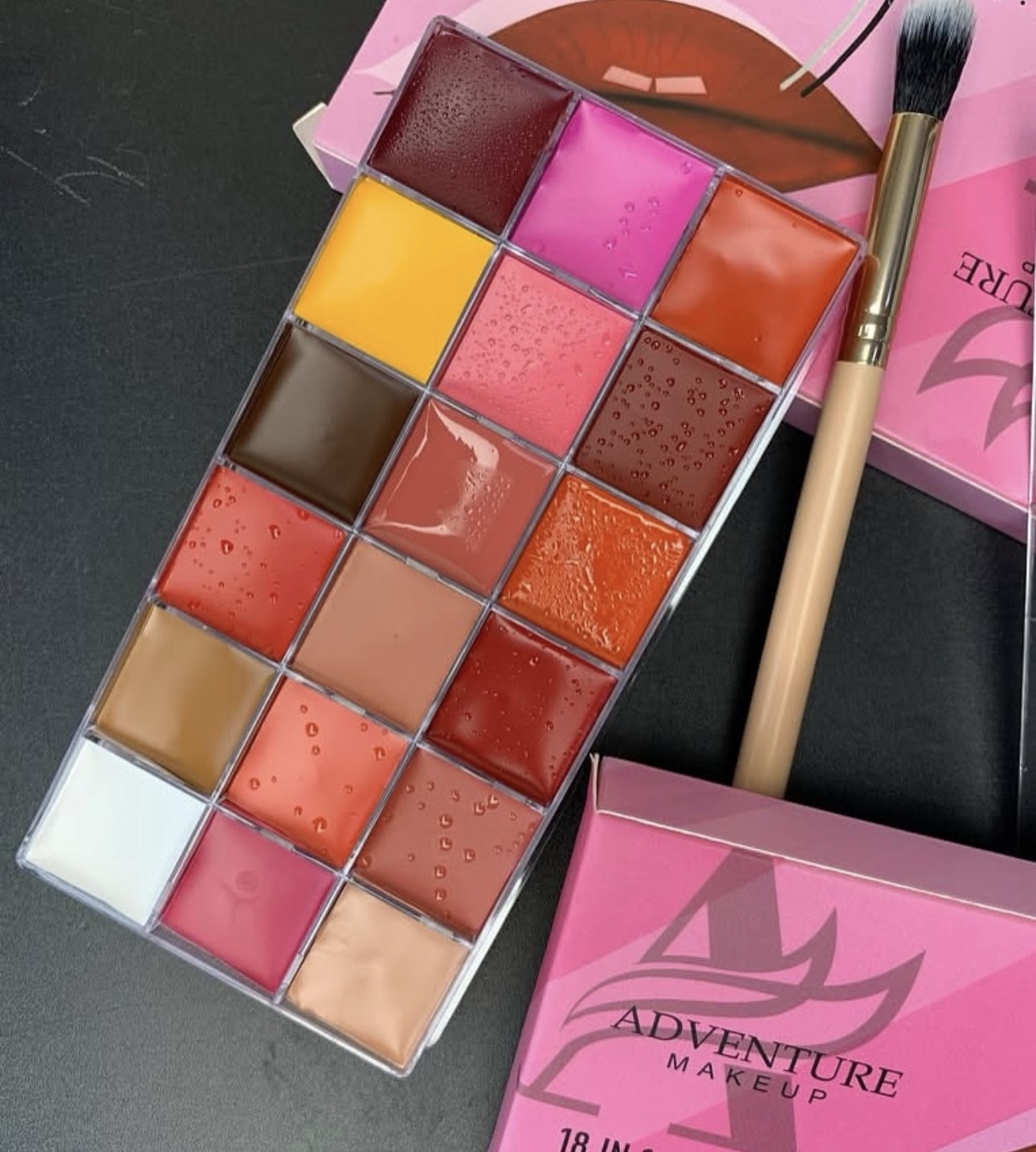 Adventure Makeup – Palette Blush & Lèvres 18 en 1 Luscious